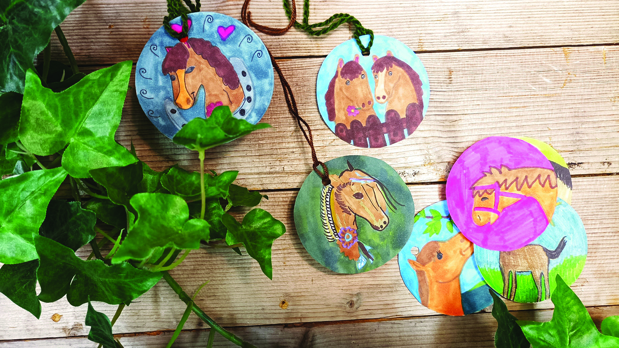 Pferde, Ponys und Parcour